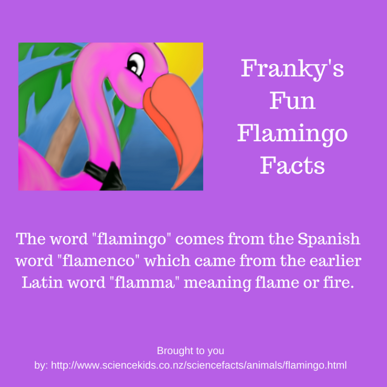 Franky's Fun Flamingo Facts 2